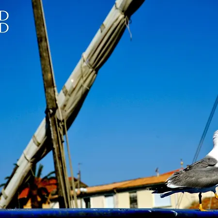 L'olivier Bel Climatise 2 Proche Des Commerces Appartement *